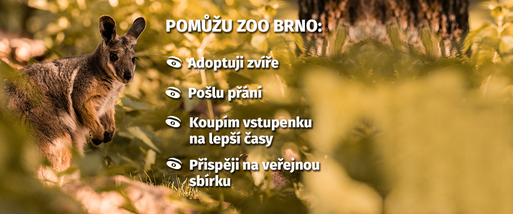 Pomůžu Zoo Brno