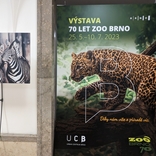 70 let Zoo Brno (výstava v Urban centru)