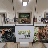 70 let Zoo Brno (výstava v Urban centru)