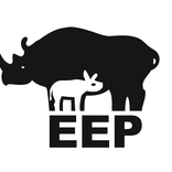 Čáp černý