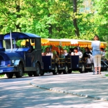 Zoo train