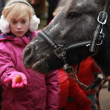 St. Nicholas Day at Brno Zoo 6. 12. 2016