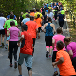 Running through the Zoo 19. 9. 2015