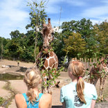 Running through the Zoo 19. 9. 2015
