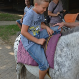 Summer Holidays 2015