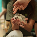 Brno Zoo Saves Turtles in OC Olympia Brno 11. 7. 2015