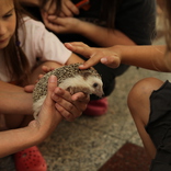 Brno Zoo Saves Turtles in OC Olympia Brno 11. 7. 2015