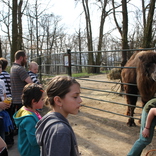 Conditioning at Brno Zoo 11. 4. 2015