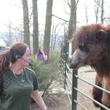 Conditioning at Brno Zoo 11. 4. 2015