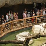 Opening of the New Aviary for Bald Eagles 5. 7. 2014