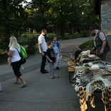 Dremnight at the Zoo 6.6.2014