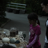 Dremnight at the Zoo 6.6.2014