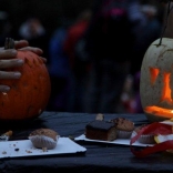 Halloween in Zoo Brno 9.11.2013