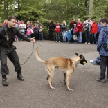 Dreamnight at the zoo 1.6.2012