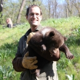 Vaccination of Young Bears 26.4.2012