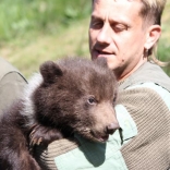 Vaccination of Young Bears 26.4.2012