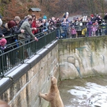 Christmas Feeding of Animals 24.12.2011