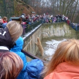 Christmas Feeding of Animals 24.12.2011