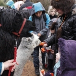 St. Nicolas Day for Children from the Oncology Clinic 13.12.2011