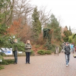 Lighting of Christmas Tree 05.12.2011