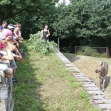 Summer Camps in Brno Zoo 23.08.2011