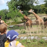 Summer Camps in Brno Zoo 23.08.2011