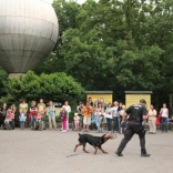 Dreamnight at the Zoo 09.06.2011