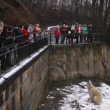 Christmas Eve Feeding of Animals 24.12.2010