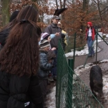 Christmas Eve Feeding of Animals 24.12.2010