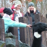 Christmas Eve Feeding of Animals 24.12.2007