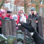 Christmas Eve Feeding of Animals 24.12.2007