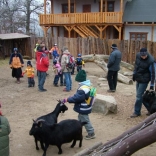 Christmas Eve Feeding of Animals 24.12.2007