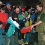 Christmas Eve Feeding of Animals 24.12.2007