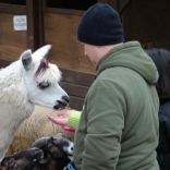 Christmas Eve Feeding of Animals 24.12.2007