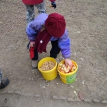 Christmas Eve Feeding of Animals 24.12.2007