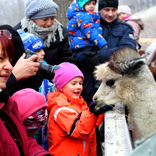 New Year Feeding of Animals 1. 1. 2017