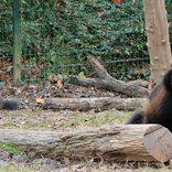  Christmas Tree Lighting at Brno Zoo 27. 11. 2016