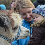  Christmas Tree Lighting at Brno Zoo 27. 11. 2016