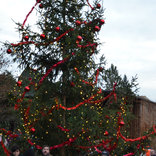  Christmas Tree Lighting at Brno Zoo 27. 11. 2016