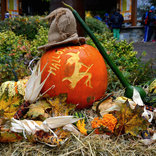 Halloween at Brno Zoo 29. 10. 2016