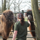 Conditioning at Brno Zoo 11. 4. 2015