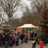 Lighting the Christmas Tree 1.12.2013