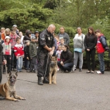 Dreamnight at the zoo 1.6.2012