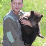 Vaccination of Young Bears 26.4.2012