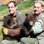 Vaccination of Young Bears 26.4.2012