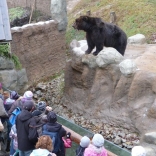 Christmas Feeding of Animals 24.12.2011