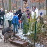 Christmas Feeding of Animals 24.12.2011