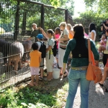 Visit of Children from Klokánek Brno 29.08.2011