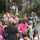 Summer Camps in Brno Zoo 23.08.2011