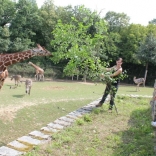 Summer Camps in Brno Zoo 23.08.2011